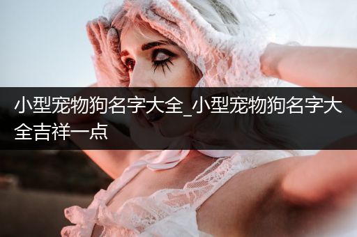 小型寵物狗名字大全_小型寵物狗名字大全吉祥一點(diǎn)
