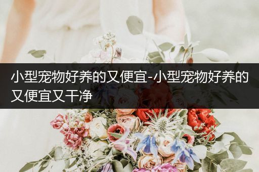 小型寵物好養(yǎng)的又便宜-小型寵物好養(yǎng)的又便宜又干凈