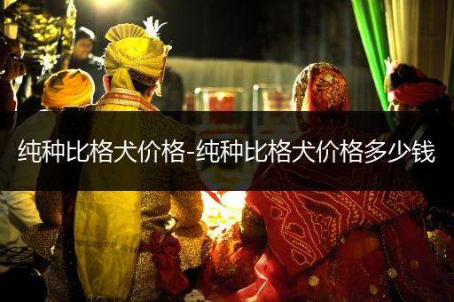 純種比格犬價格-純種比格犬價格多少錢