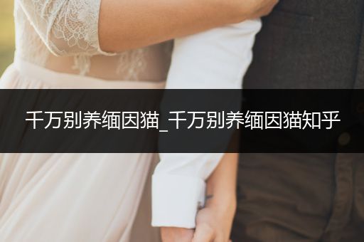 千萬別養(yǎng)緬因貓_千萬別養(yǎng)緬因貓知乎