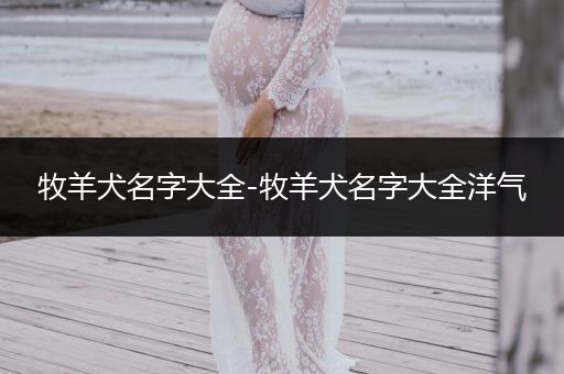 牧羊犬名字大全-牧羊犬名字大全洋氣