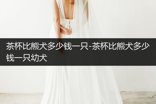 茶杯比熊犬多少錢一只-茶杯比熊犬多少錢一只幼犬