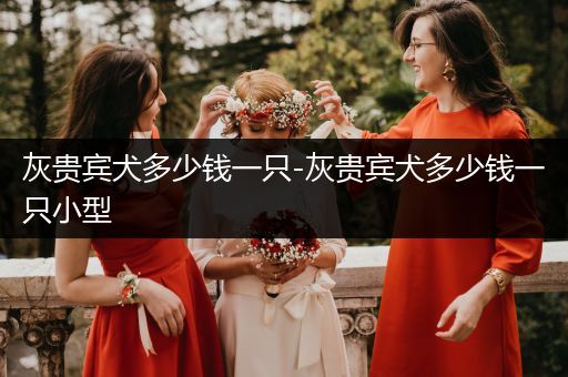 灰貴賓犬多少錢一只-灰貴賓犬多少錢一只小型