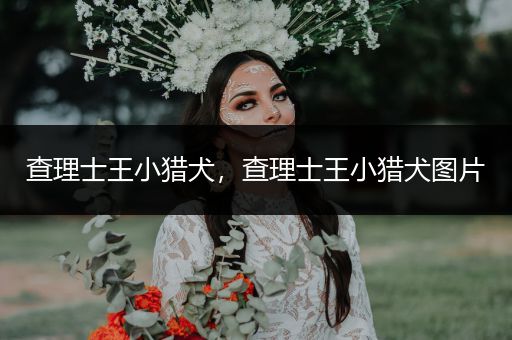 查理士王小獵犬，查理士王小獵犬圖片