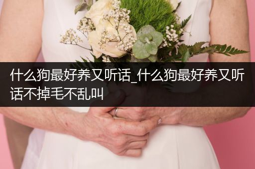 什么狗最好養(yǎng)又聽話_什么狗最好養(yǎng)又聽話不掉毛不亂叫