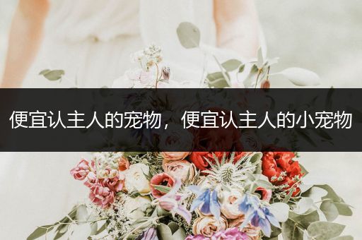 便宜認(rèn)主人的寵物，便宜認(rèn)主人的小寵物