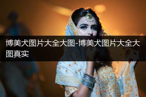 博美犬圖片大全大圖-博美犬圖片大全大圖真實