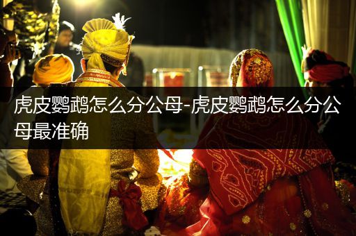 虎皮鸚鵡怎么分公母-虎皮鸚鵡怎么分公母最準確