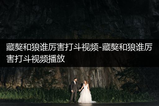 藏獒和狼誰厲害打斗視頻-藏獒和狼誰厲害打斗視頻播放