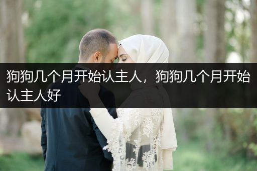 狗狗幾個月開始認主人，狗狗幾個月開始認主人好