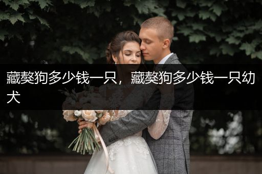 藏獒狗多少錢一只，藏獒狗多少錢一只幼犬