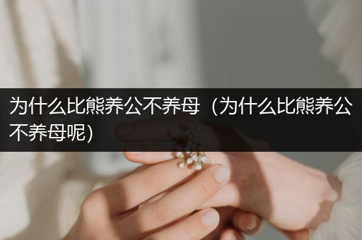為什么比熊養(yǎng)公不養(yǎng)母（為什么比熊養(yǎng)公不養(yǎng)母呢）