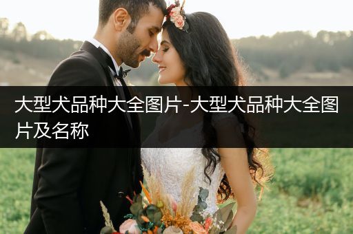 大型犬品種大全圖片-大型犬品種大全圖片及名稱