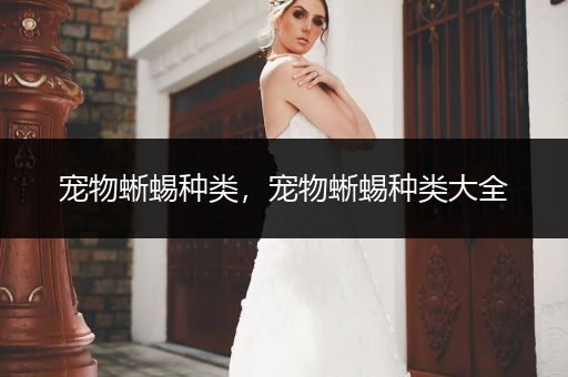 寵物蜥蜴種類，寵物蜥蜴種類大全