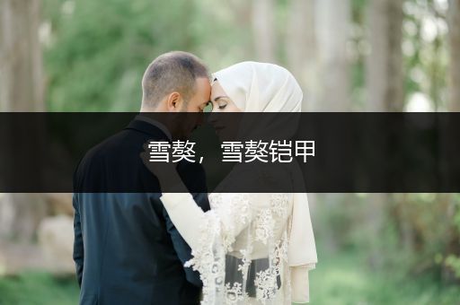 雪獒，雪獒鎧甲