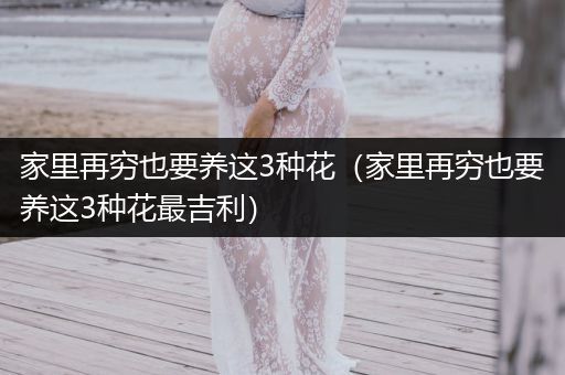 家里再窮也要養(yǎng)這3種花（家里再窮也要養(yǎng)這3種花最吉利）