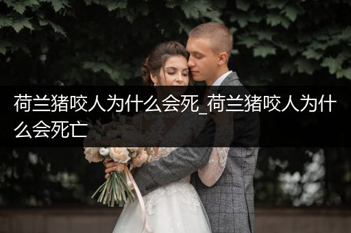 荷蘭豬咬人為什么會死_荷蘭豬咬人為什么會死亡