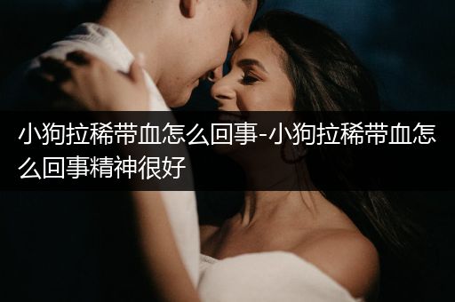 小狗拉稀帶血怎么回事-小狗拉稀帶血怎么回事精神很好