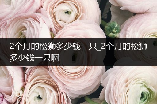 2個月的松獅多少錢一只_2個月的松獅多少錢一只啊