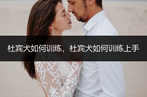 杜賓犬如何訓(xùn)練，杜賓犬如何訓(xùn)練上手