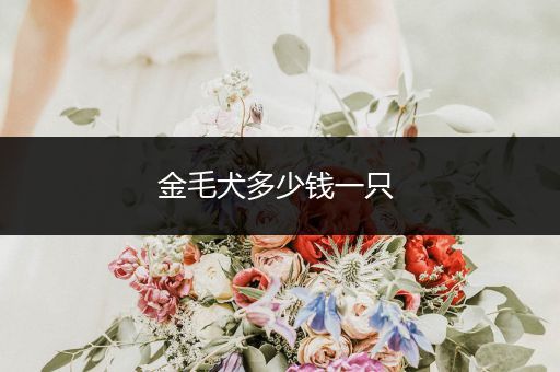 金毛犬多少錢一只 