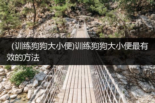 （訓(xùn)練狗狗大小便)訓(xùn)練狗狗大小便最有效的方法