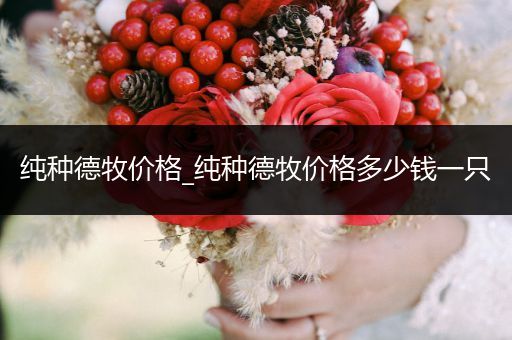 純種德牧價(jià)格_純種德牧價(jià)格多少錢一只