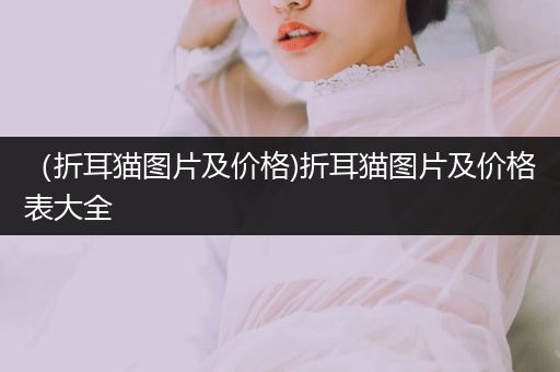 （折耳貓圖片及價格)折耳貓圖片及價格表大全