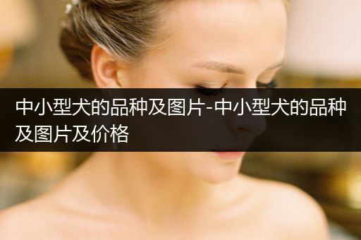 中小型犬的品種及圖片-中小型犬的品種及圖片及價(jià)格