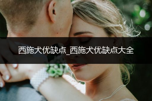 西施犬優(yōu)缺點_西施犬優(yōu)缺點大全