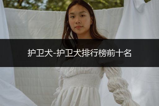 護衛(wèi)犬-護衛(wèi)犬排行榜前十名