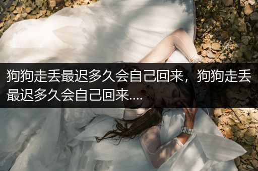 狗狗走丟最遲多久會自己回來，狗狗走丟最遲多久會自己回來....
