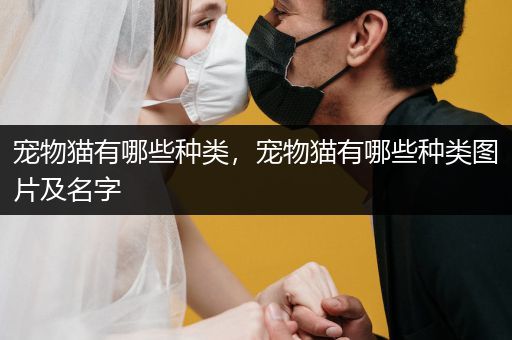 寵物貓有哪些種類，寵物貓有哪些種類圖片及名字