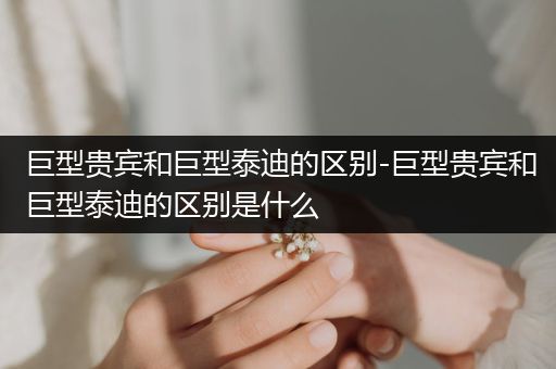 巨型貴賓和巨型泰迪的區(qū)別-巨型貴賓和巨型泰迪的區(qū)別是什么