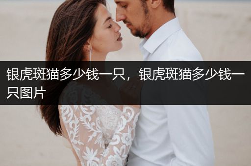 銀虎斑貓多少錢一只，銀虎斑貓多少錢一只圖片