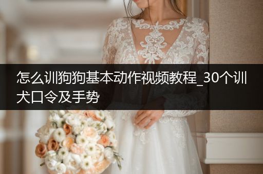 怎么訓(xùn)狗狗基本動作視頻教程_30個訓(xùn)犬口令及手勢