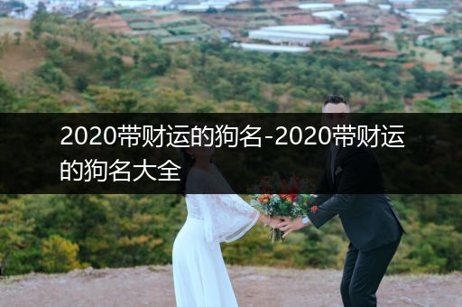 2020帶財(cái)運(yùn)的狗名-2020帶財(cái)運(yùn)的狗名大全