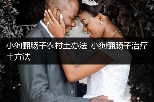 小狗翻腸子農(nóng)村土辦法_小狗翻腸子治療土方法