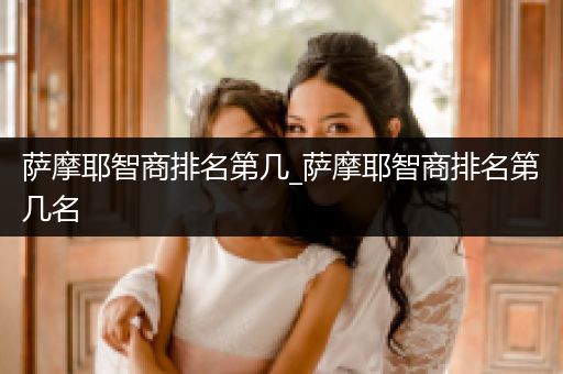 薩摩耶智商排名第幾_薩摩耶智商排名第幾名