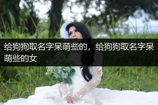 給狗狗取名字呆萌些的，給狗狗取名字呆萌些的女
