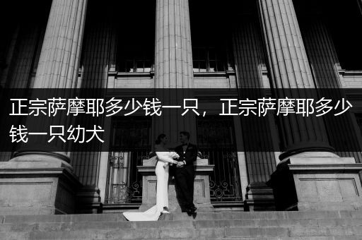 正宗薩摩耶多少錢一只，正宗薩摩耶多少錢一只幼犬