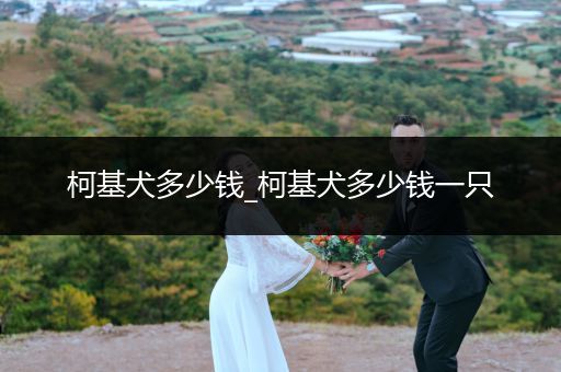 柯基犬多少錢_柯基犬多少錢一只