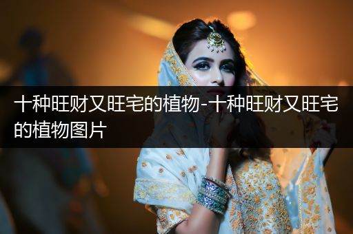 十種旺財(cái)又旺宅的植物-十種旺財(cái)又旺宅的植物圖片