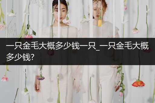 一只金毛大概多少錢一只_一只金毛大概多少錢?