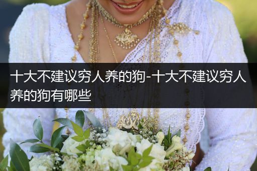 十大不建議窮人養(yǎng)的狗-十大不建議窮人養(yǎng)的狗有哪些