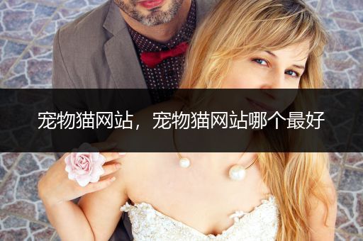 寵物貓網(wǎng)站，寵物貓網(wǎng)站哪個最好