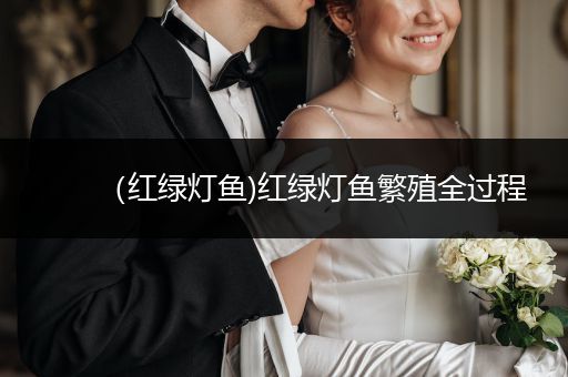 （紅綠燈魚(yú))紅綠燈魚(yú)繁殖全過(guò)程