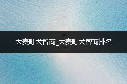 大麥町犬智商_大麥町犬智商排名