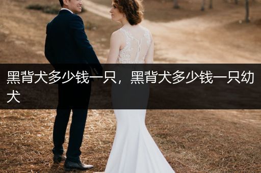 黑背犬多少錢一只，黑背犬多少錢一只幼犬