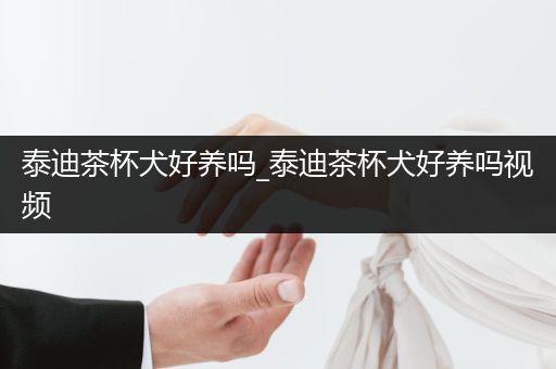 泰迪茶杯犬好養(yǎng)嗎_泰迪茶杯犬好養(yǎng)嗎視頻